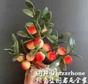 Jade Stone 12 Peach Bonsai Statue Gemstone Tree Fruit Plant Feng Shui Home Decor
