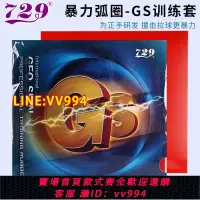 在飛比找樂天市場購物網優惠-可打統編 友誼729乒乓球膠皮GS普及套套膠乒乓球膠皮兵乓球