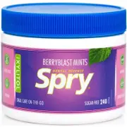 Spry Xylitol Natural Berry Blast Mints Sugar Free Candy - 240 Count (Pack of 1)