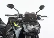 ERMAX naked bike screen Acrylic glass (PMMA)