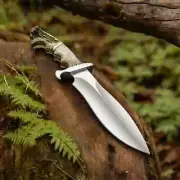 Fixed Blade Full Tang D2 Steel Custom Handmade Bowie Stag Antler Handle Knife WS