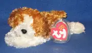TY SAMPSON the DOG BEANIE BABY - MINT with MINT TAGS