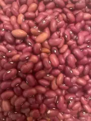 White beans Red beans Lentil, Yellow peas Black eye Bulk Dried Beans 5 lb. Bag