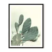 Aloe Framed Printed Wall Art - Black
