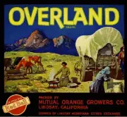 Lindsay Overland Orange Citrus Crate Label Art Print