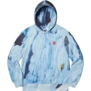 Supreme The North Face Ice Climb Hooded Sweatshirt M