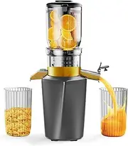 [Fyenkfar] Juicers are an ideal choice for healthy drinks that receive nutrients, support a varied diet, and are safe and harmless. Suitable for everyone who likes(silver-gray)