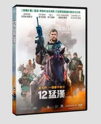 在飛比找Yahoo!奇摩拍賣優惠-合友唱片 12猛漢 12 Strong DVD