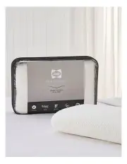 [Sealy] Memory Rest Memory Foam Traditional Pillow in White