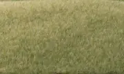 Woodland Scenics 2mm Static Grass LightGreen, #WS-FS615