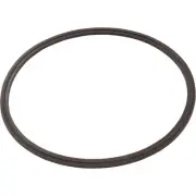Leaf Catcher Seal, Zodiac Cyclonic Leaf Catcher : R0623300