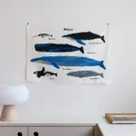 [FIG.] WARMGREY TAIL 鯨魚掛布 韓國禮物/IG/INS/設計/北歐/掛飾/居家擺飾/海報/牆裝飾