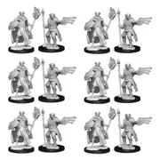 6x 2pc Dungeons & Dragons Nolzur's Marvelous UNP Multiclass Cleric Wizard Male