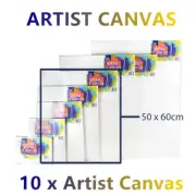10x Large Artist Blank Canvas Oil Acrylic Painting 50X60 Stretched Canvases Art
