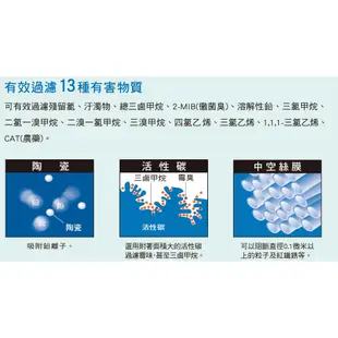 Panasonic國際牌電解水機中空絲膜本體主機濾心/濾芯/TK-AS46C1ZTA/通用TK-AS43C1升級款