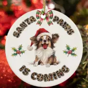 Funny Santa Paws Papillon Dog Lover Christmas Ornament Gift Tree Decor Hanging