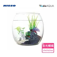 在飛比找momo購物網優惠-【NISSO 尼索】Table AQUA Drum 景觀生態