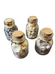 Set of 4 Glass Jars of Mini Sea Shells Cork Top Bottle Approx. 3 Inches Tall
