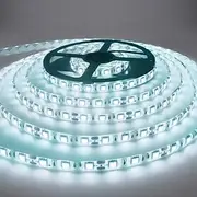 5m 16.4ft LED Strip Light Waterproof Flexible 300 LEDs 2835 SMD Warm White Cold White Red Blue Green for Bedroom Home Kitchen Party TV Backlight Cuttable DC 12