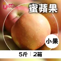 在飛比找台灣好農優惠-梨山公主 蜜蘋果5斤*2箱(小果)