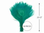 50 Pieces – Peacock Green Bleached & Dyed Peacock Tail Eye Wholesale Feathers