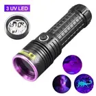 365nm UV LED Flashlight Blacklight Inspection Lamp Torch Rechargeable