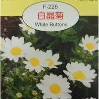 在飛比找iOPEN Mall優惠-白晶菊【穗耕種苗】天星牌花卉種子