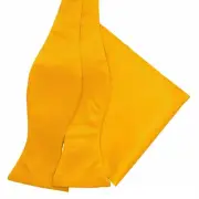 Vittorio Farina Solid Self Tie Bow Tie & Pocket Square: Gift Box