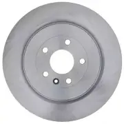 Rear Disc Brake Rotor Fits: 2017-2019 Ford Police Interceptor Sedan Raybestos R