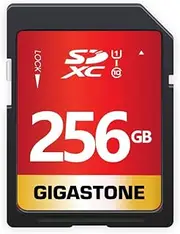 Gigastone 256GB SD Card UHS-I U1 Class 10 SDXC Memory Card High Speed Full HD Video Canon Nikon Sony Pentax Kodak Olympus Panasonic Digital Camera, with 1 mini case