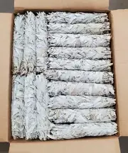 100 White Sage Smudge Stick 8-9" Large