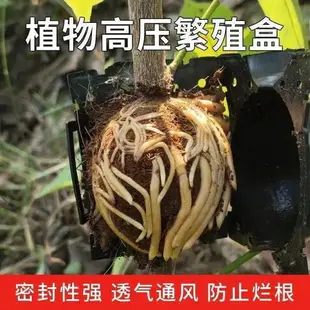 植物高壓盒果樹花木多功能扦插嫁接家用繁殖盒高空壓條生根球工具