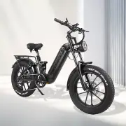 KRISTALL V20 Electric Bike eBike Mountain Bicycle 1000W Fat Tyres Mountain Bike