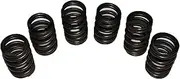 AEspares New Head Valve Spring Set Compatible with Ford 3600 Tractors