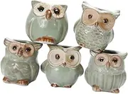 BESPORTBLE 5pcs Mini Ceramic Owl Planters Cute Succulent Flower Pots for Home Office Decor Durable Craftsmanship for Cacti and Flowers Random Style