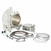 MALOSSI M3113955 Cylinder Competition Derbi 125 GP1 2007-2007