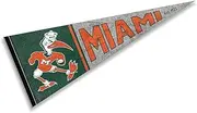 Hurricanes Pennant Throwback Vintage Banner
