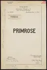 Beltaire, Lurch & Co. for Primrose brand Boys' and Men's Fur Hats