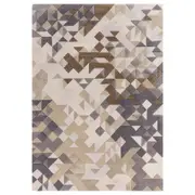Asiatic Enigma In Grey Rug