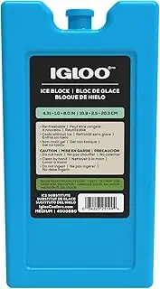 Igloo Maxcold Ice Block