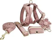IUOUTG Cute Girl Dog Harness Set, Adjustable Dog Collar Leash Set with Flower and Bow, with Metal Buckle & Handle Dog Collars for Medium and Large Dog