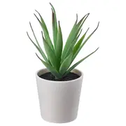 FEJKA artificial potted plant with pot, in/outdoor Succulent, 6 cm