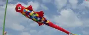 Bali Flag Wind Sock Extra Large Various Colours Windsock