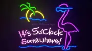 It's 5 O'clock Somewhere Flamingo Palm Tree 10" Vivid LED Neon Lamp Sign Light