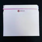 Armalope Mailer 25 PACK Standard Ebay Shipping Envelopes Newest Thicker Version