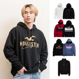 【HOLLISTER Co】海鷗 男版 設計款 帽T 長袖 連帽 穿搭 現貨 美國(平輸品)