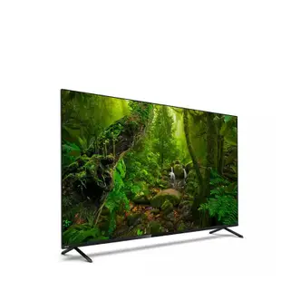 PHILIPS 70型4K UHD LED 智慧型顯示器電視 70PUH8288/96