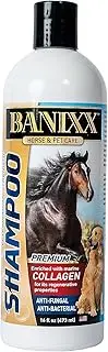 Banixx Anti-Fungal/Bacterial Shampoo