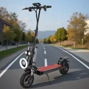 Off-Road Foldable Electric Scooter 2500W Adult 70KM/H 80KM Range 11" Tyre