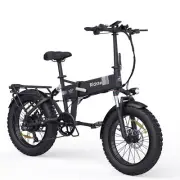 20" 1000W Electric Bicycle 48V 15A Mountain Bike e-MTB Folding Off-road E-Bike